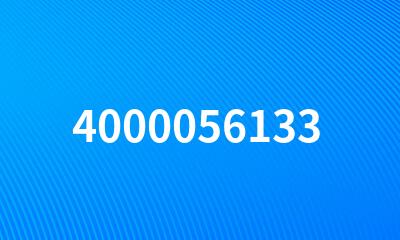 4000056133