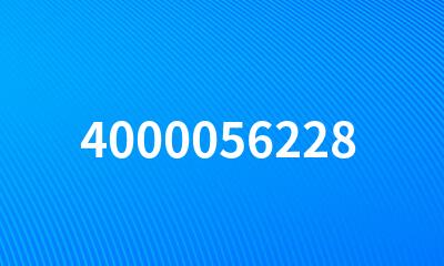 4000056228