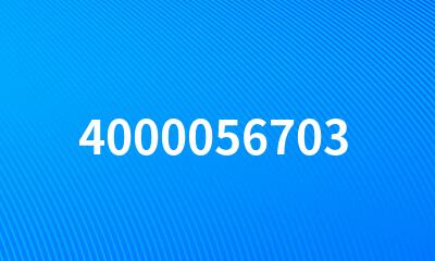 4000056703