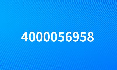 4000056958