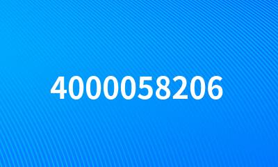 4000058206