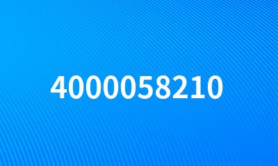 4000058210