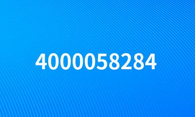 4000058284