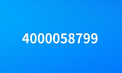 4000058799