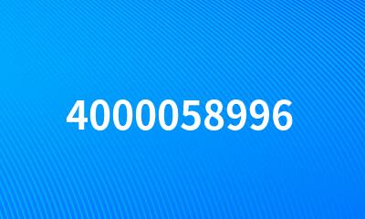 4000058996