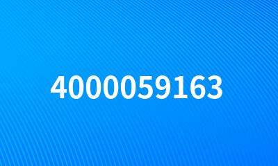 4000059163