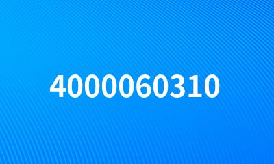 4000060310