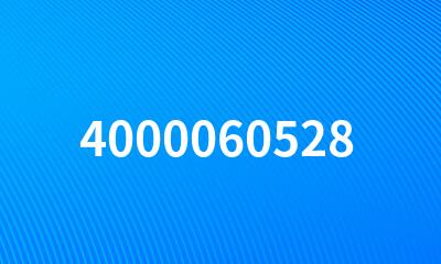 4000060528