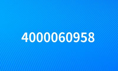 4000060958