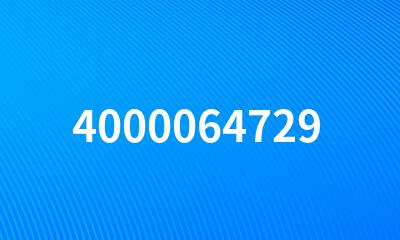 4000064729