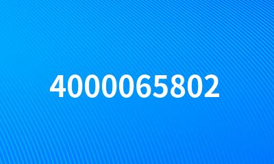 4000065802