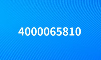 4000065810