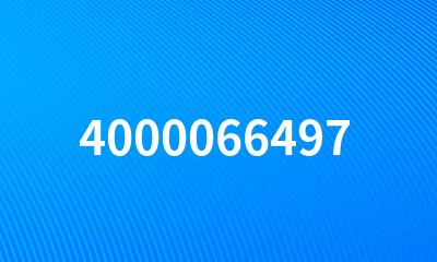 4000066497