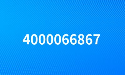 4000066867