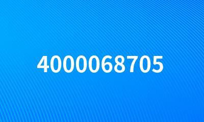 4000068705