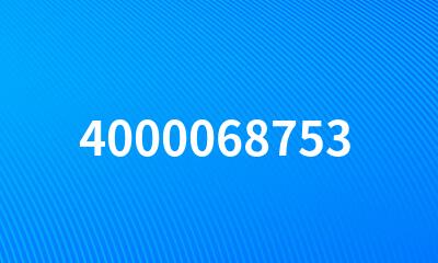 4000068753