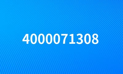 4000071308