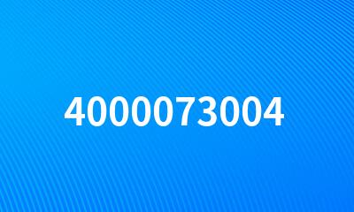 4000073004