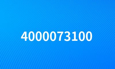 4000073100