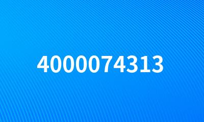 4000074313