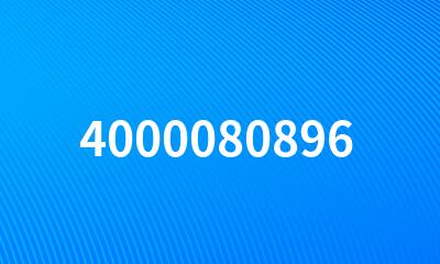 4000080896