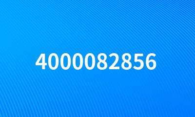 4000082856