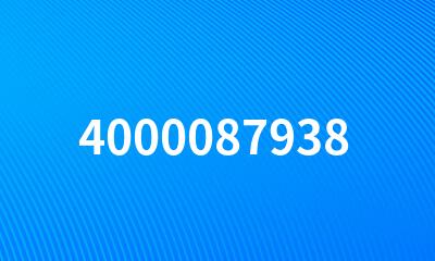 4000087938