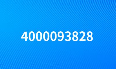 4000093828