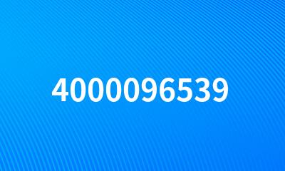 4000096539