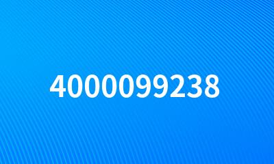 4000099238