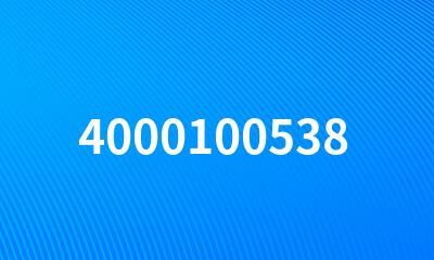 4000100538