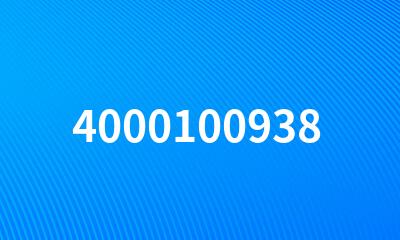 4000100938