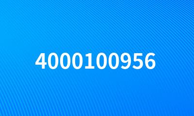 4000100956