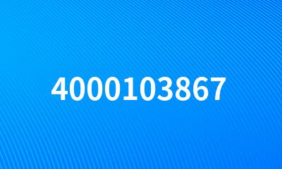 4000103867