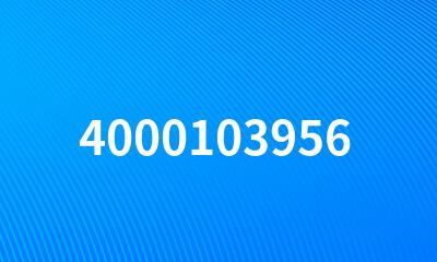 4000103956