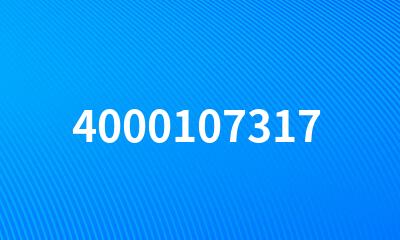 4000107317