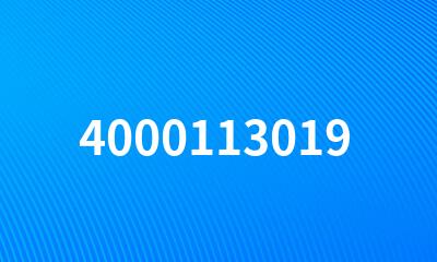 4000113019