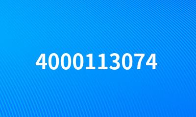 4000113074