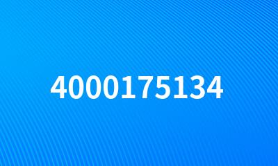 4000175134