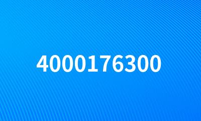 4000176300