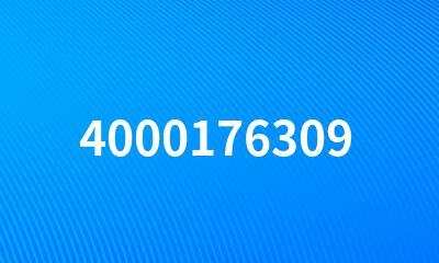 4000176309