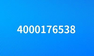 4000176538