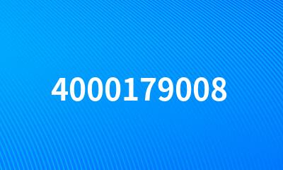 4000179008