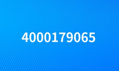 4000179065