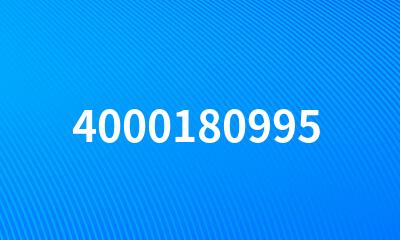 4000180995