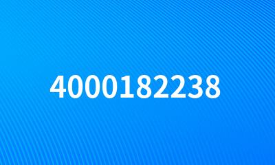 4000182238