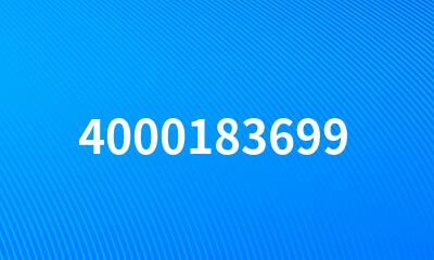 4000183699