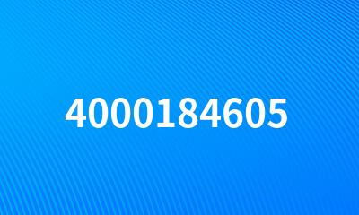 4000184605