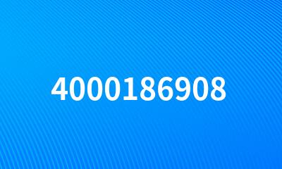 4000186908