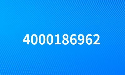 4000186962